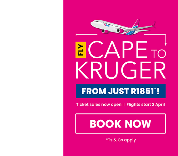 Flysafair luggage 2024